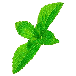 Stevia leaf best stevia sweetener