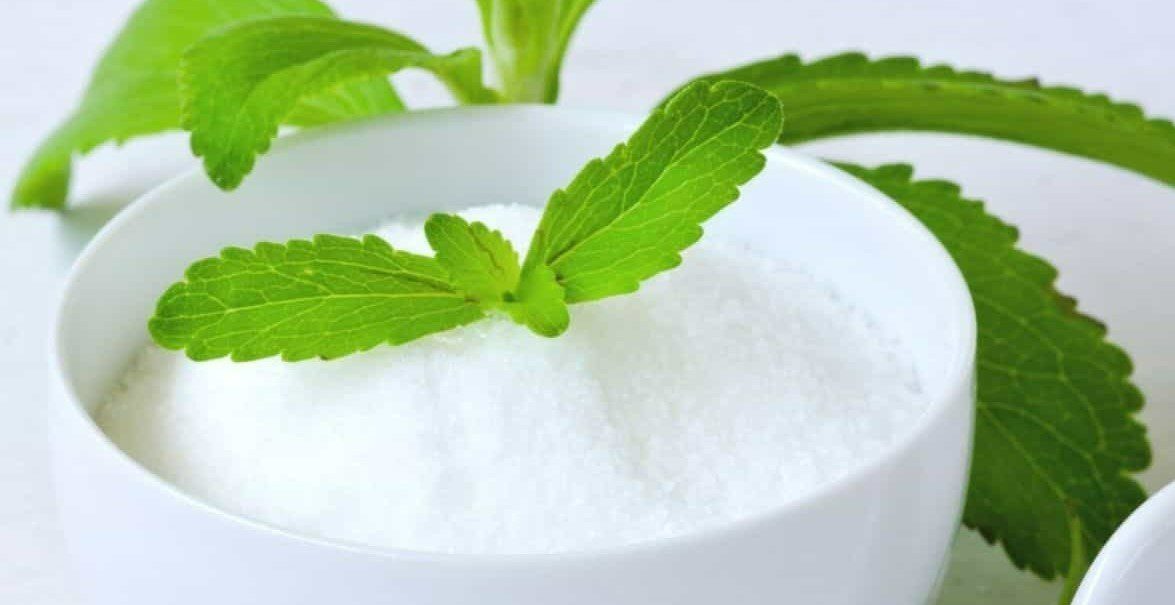 Stevia Meaning | Everything You Need to Know About Stevia